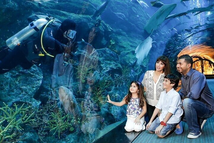 Experience the wonder of marine life up close while exploring stunning underwater ecosystems creating unforgettable moments with family at the Dubai Aquarium and Underwater Zoo.